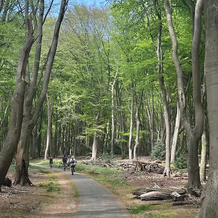 Heerlijk Midden In De *