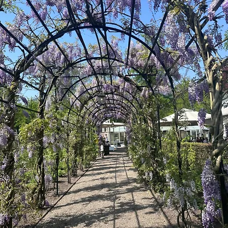 Heerlijk Midden In De Alpstuga *