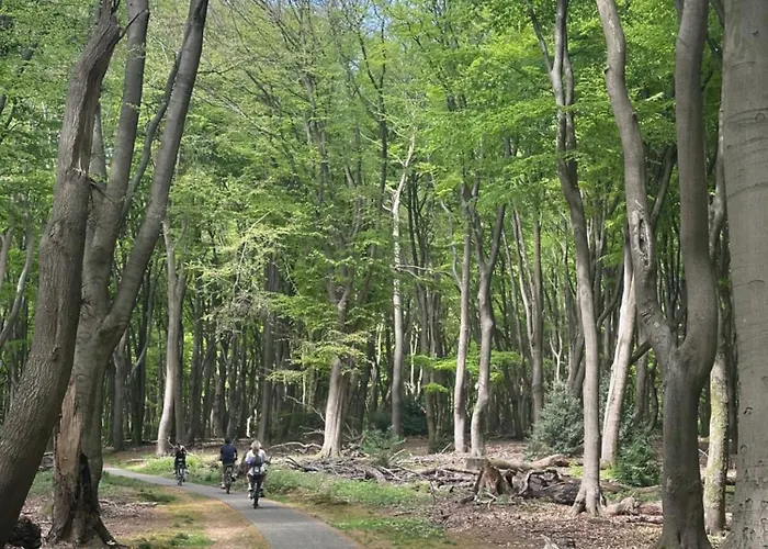 Heerlijk Midden In De *