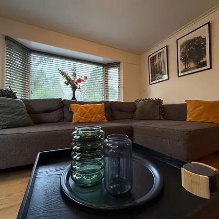 Dağ evi Heerlijk Midden In De Putten